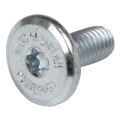 Torx Mounting Screw 15,5mm