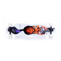 Longboard s liškou