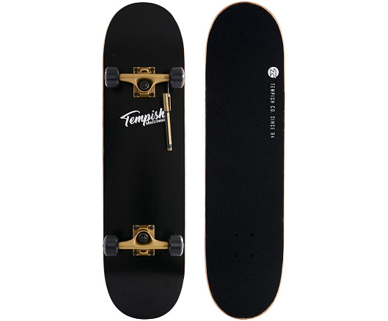 EMPTY skateboard