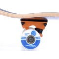 Kolečka skateboardu Tempish Explorate