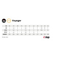 Voyager