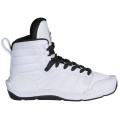 Shadow Shoes Team