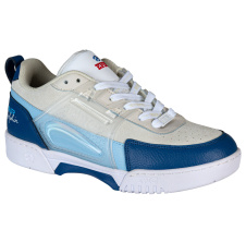 Air Dolphin