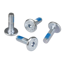 DCM Mounting Screw 19mm