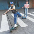Kickboard Reloaded Plum