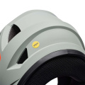 Sanction 2 DLX MIPS