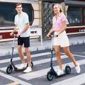 Classic NanoGrid Tire tmavě zelená skládací koloběžka