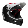 Sanction 2 DLX MIPS